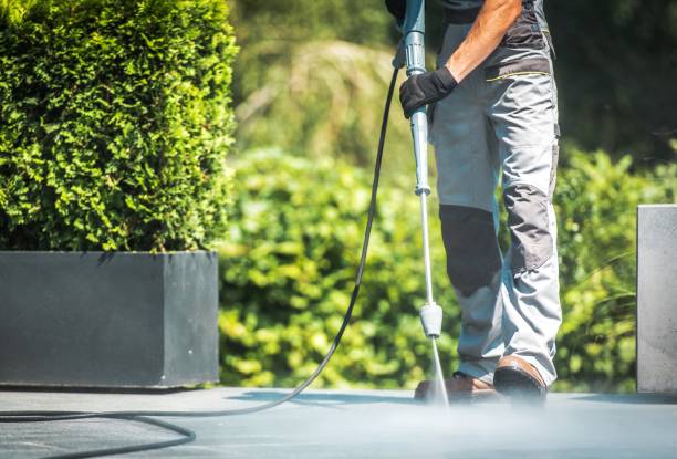 Best Sidewalk and Walkway Cleaning  in Crescent City, CA